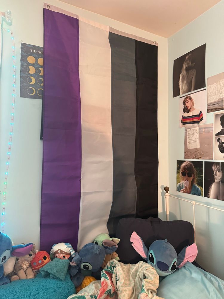 The asexual pride flag hanging above a bed in the corner with multiple plushies 