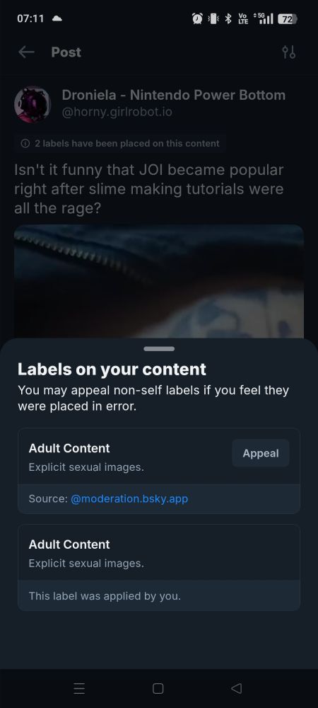 Screenshot of the labels on a post, Adult Content appearing twice, one by the poster and another by moderation