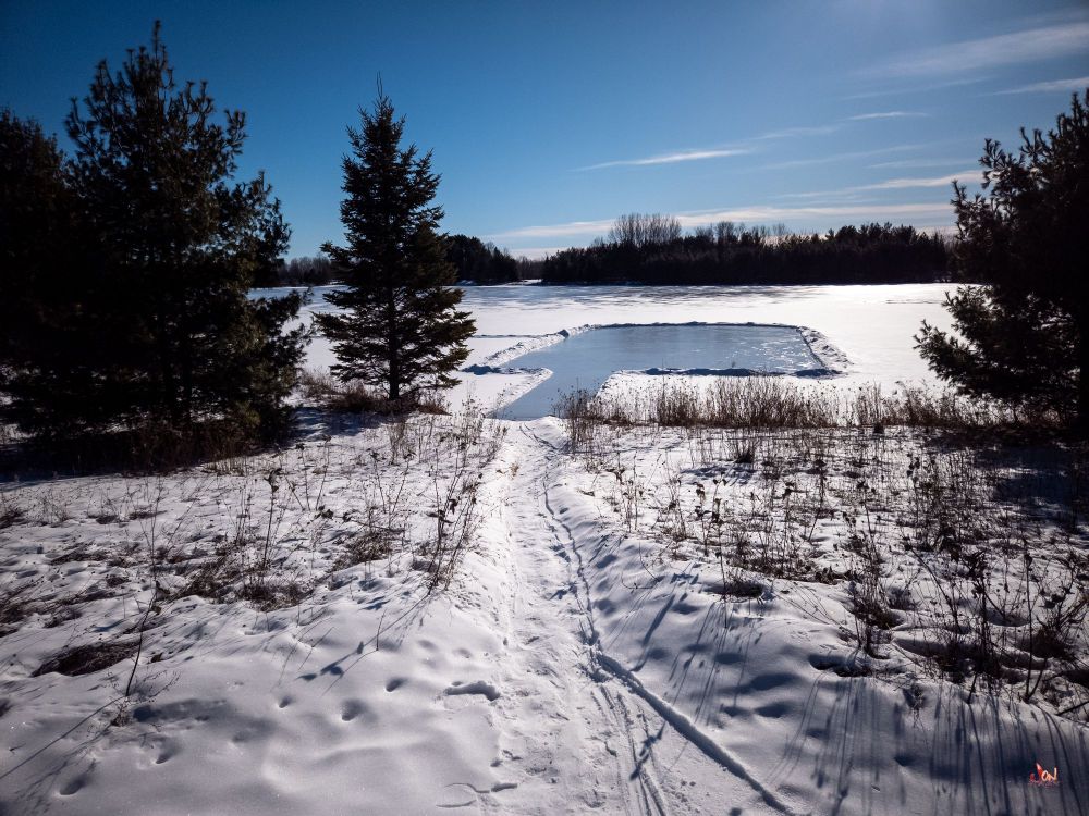Outdoor rink on a large pond