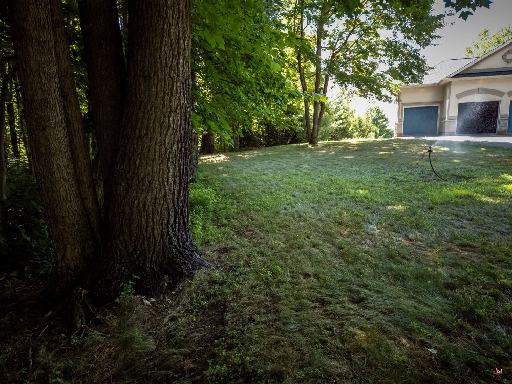 Lawn