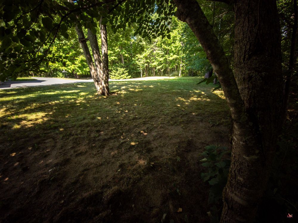 Lawn