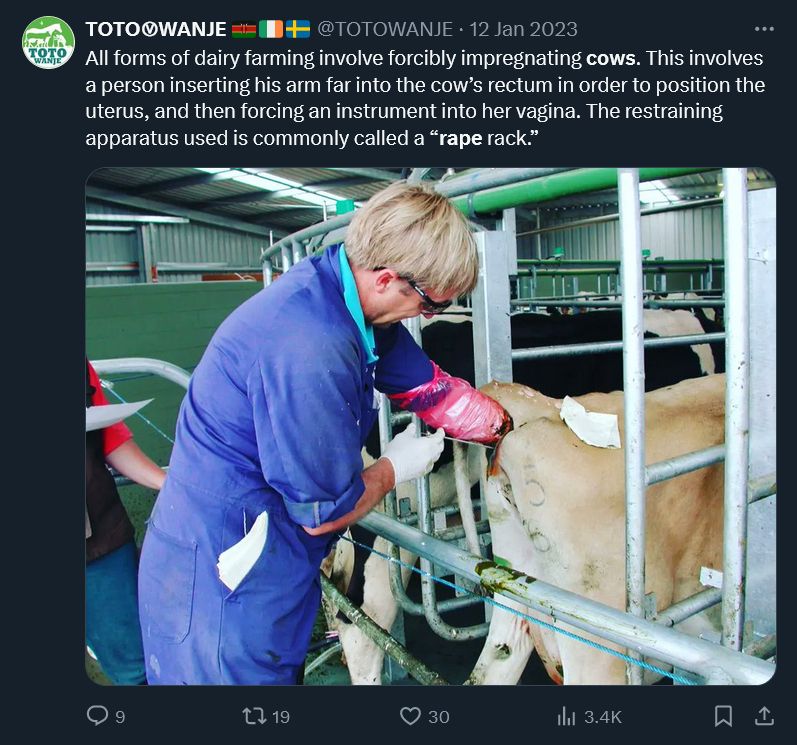photo of a veterinarian inseminating a cow by pushing his arm into her anus in a so-called rape rack