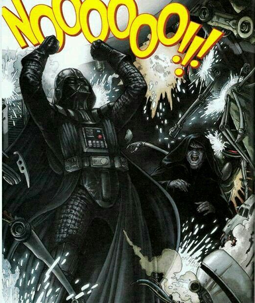 Darth Vader screaming "Nooooo!" while using the Force to break everything around him. In the backgound Darth Sidious is smiling.