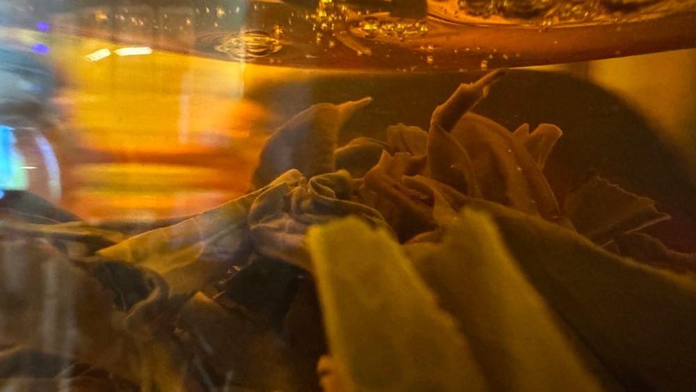 Inside the glass as it brews