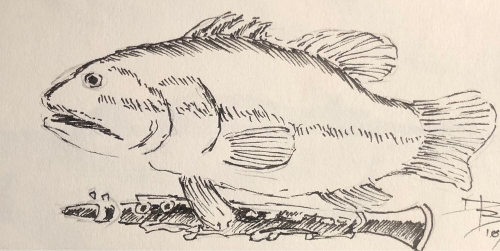 It’s a bass fish holding a clarinet. I’m a dad, I’m going to make dad jokes in multiple media.