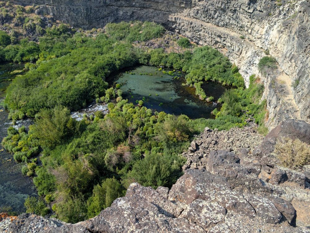 Looking down from the edge of a basalt canyon into the rounded dead end of a box canyon. The canyon floor is rich and green with plant life in contrast to the dark dusty rock of the walls and the yellowing sagebrush prairie along the rim. Pressed right up against the canyon wall is a clear sandy pool of blue green water. This is the source of a small and splashing creek that tumbles a little way down to the canyon mouth and pours into the Snake River. 1800 cubic feet of water per second flows out of this spring. 
