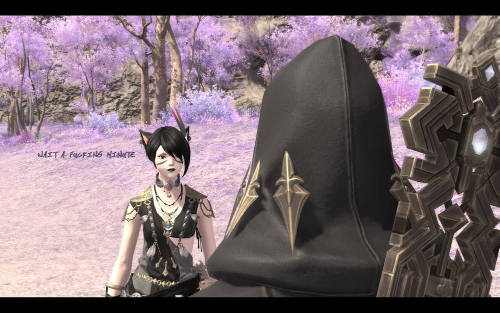 Rinh (thinking): WAIT A FUCKING MINUTE.