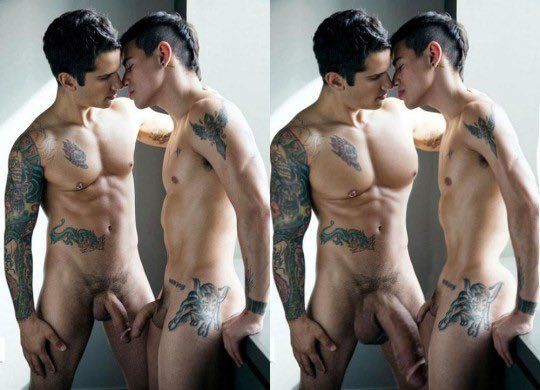 2 images:
first image: two naked men standing next to each other, their faces close together as if getting ready to kiss, their cocks nearly touching.
Second image: Same men, but the man on the left is more muscular and his cock is significantly bigger. The man on the right is slimmer and has a much smaller cock.