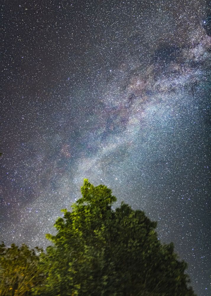 The Milky Way galaxy stretches overhead with a green tree in the lower foreground of the image.