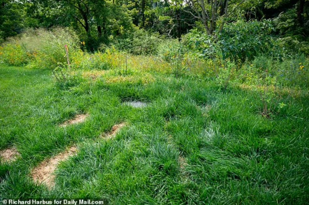 Are These Real 2023 Photos of Ivana Trump's Burial Site at Trump Golf Course?