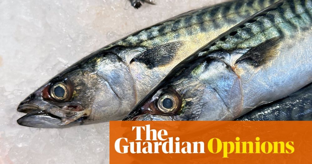 Why Labour needs to fix British fishing – will it stand by its principles now it is in power? | Charles Clover