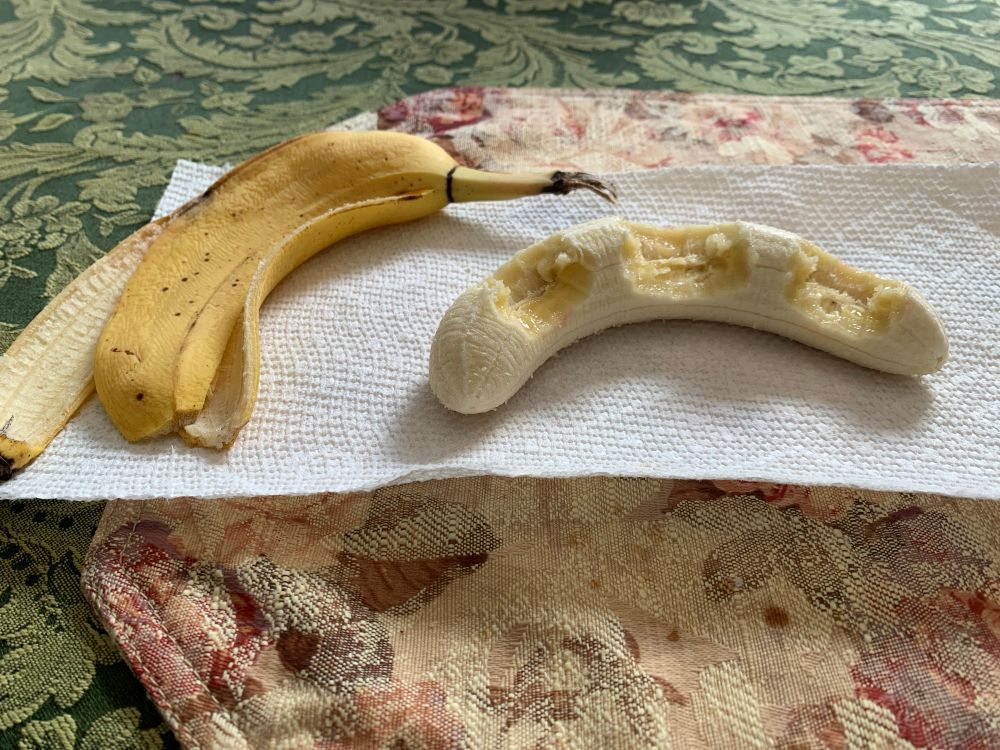 A photo of a small banana peeled on a paper towel sitting next to its peel. Three bites have been taken out of the side on an unusual manner.