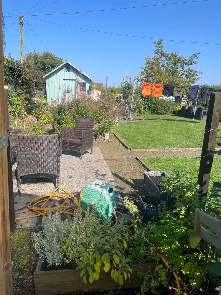 Same garden 3 years later with lots of flowers and bushes to attract bees and insects