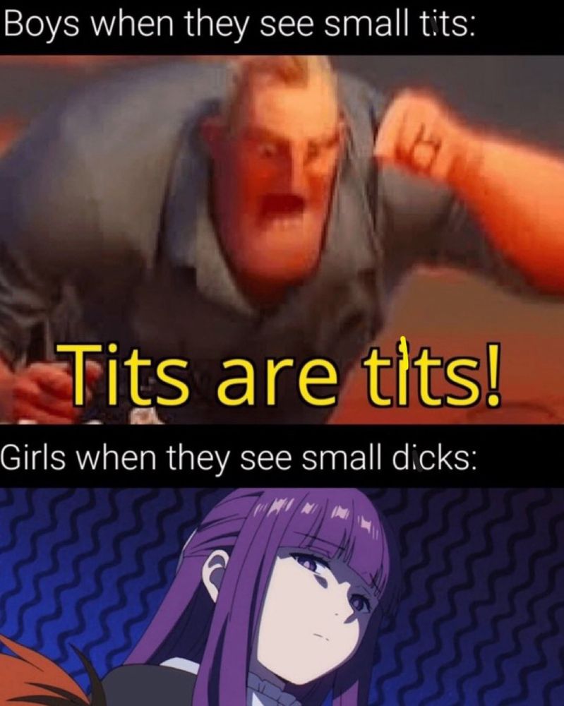 A meme of a male animated character with the words "boys when they see small tits: tits are tits!", and a female animated character with the text "girls when they see small dkcs: 