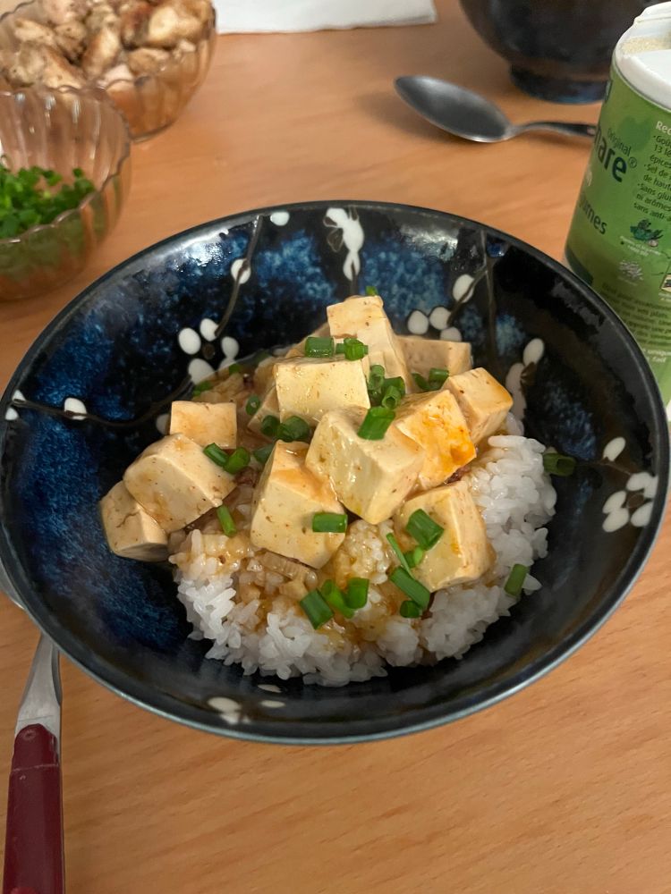 Photo représentant un bol de riz avec du mapotofu dessus 