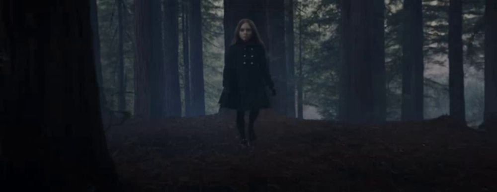 a woman in a black coat is walking through a forest