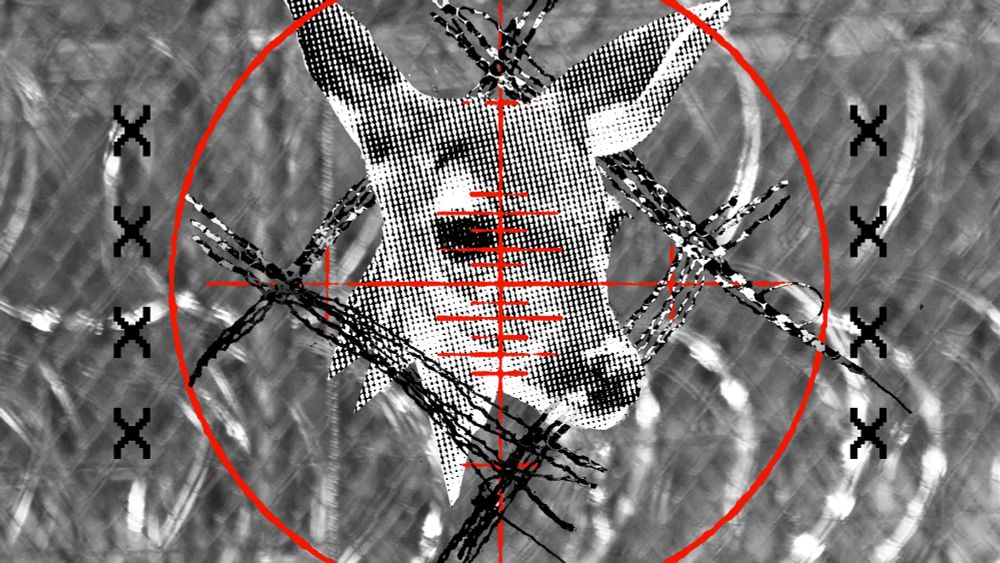 the head of a deer stares into a red crosshair, peering from a square of stitches. X's in VCR OSD Mono line the composition on each side, and out of focus barbed wire is in the background.
