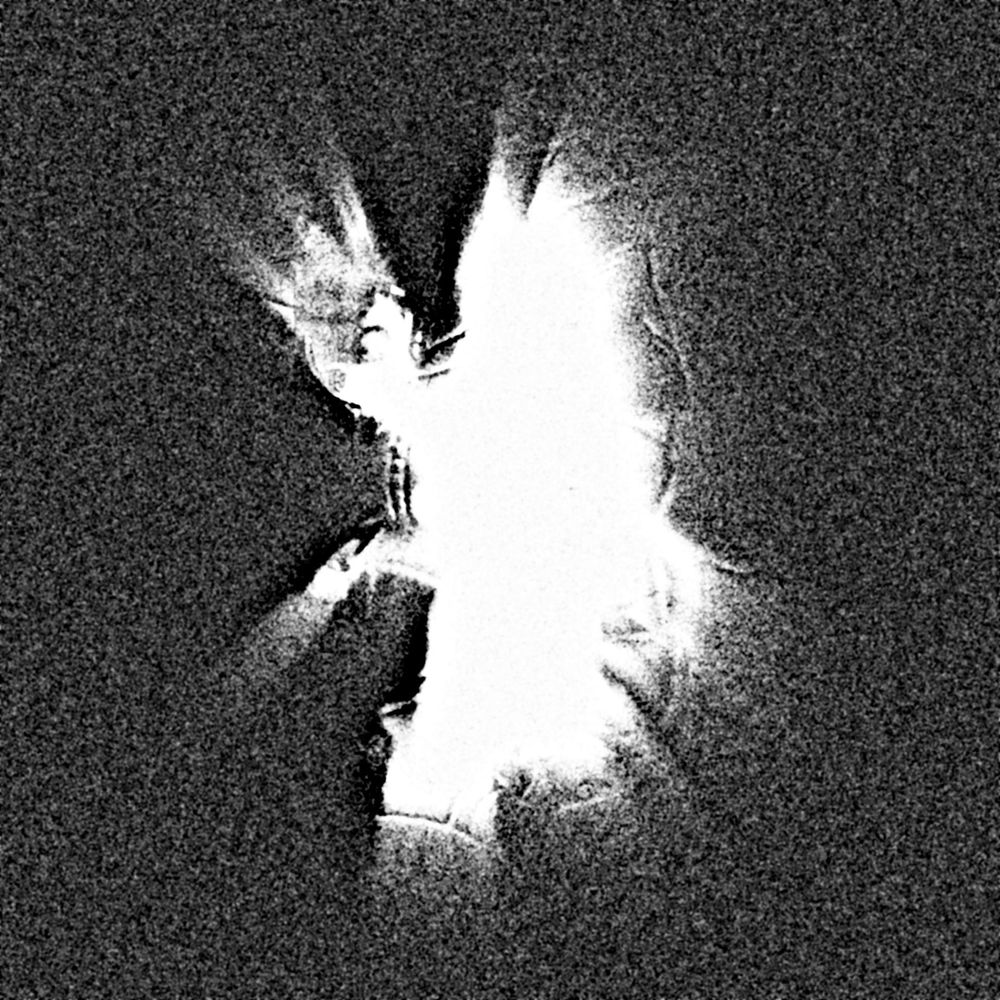 still from the video