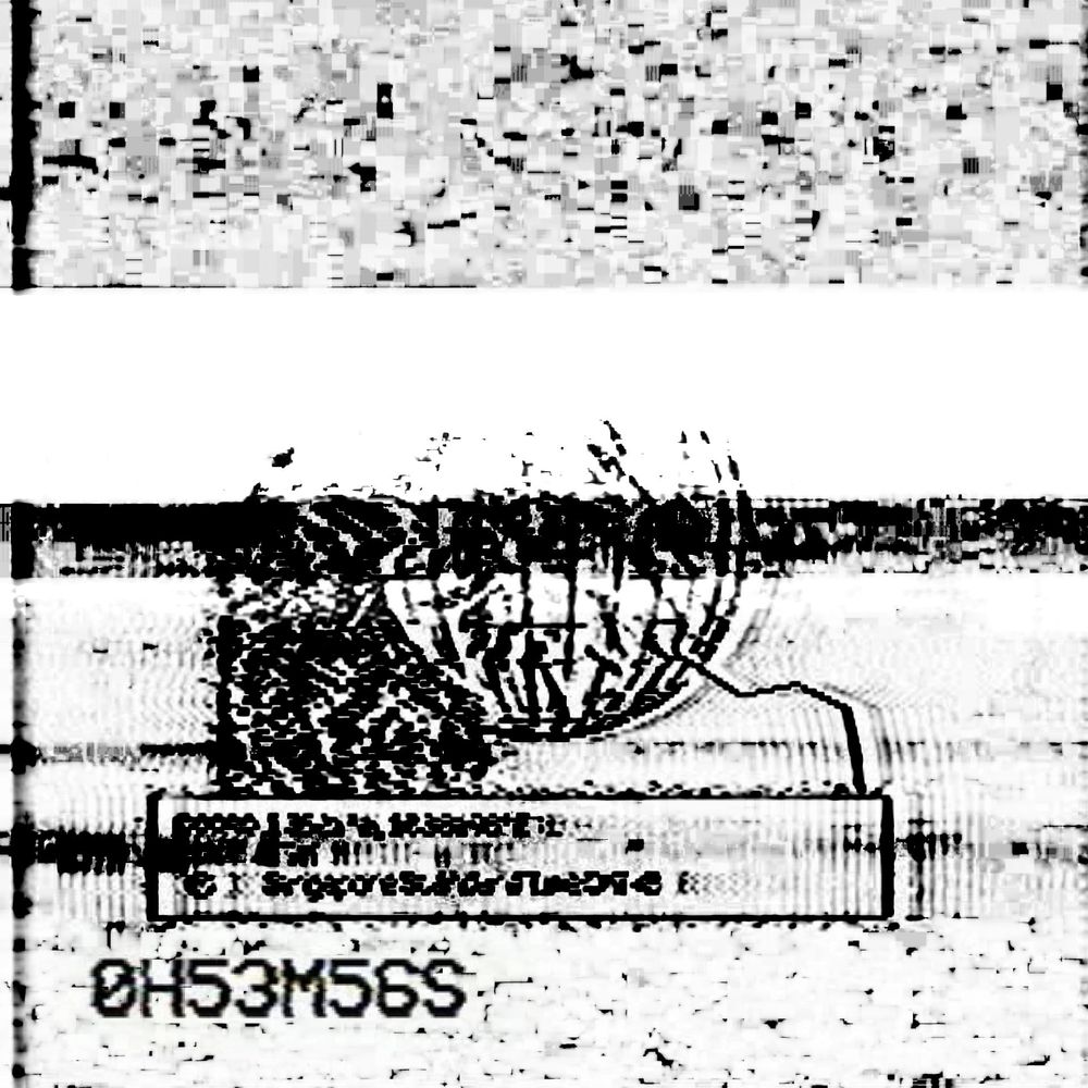 still from the video