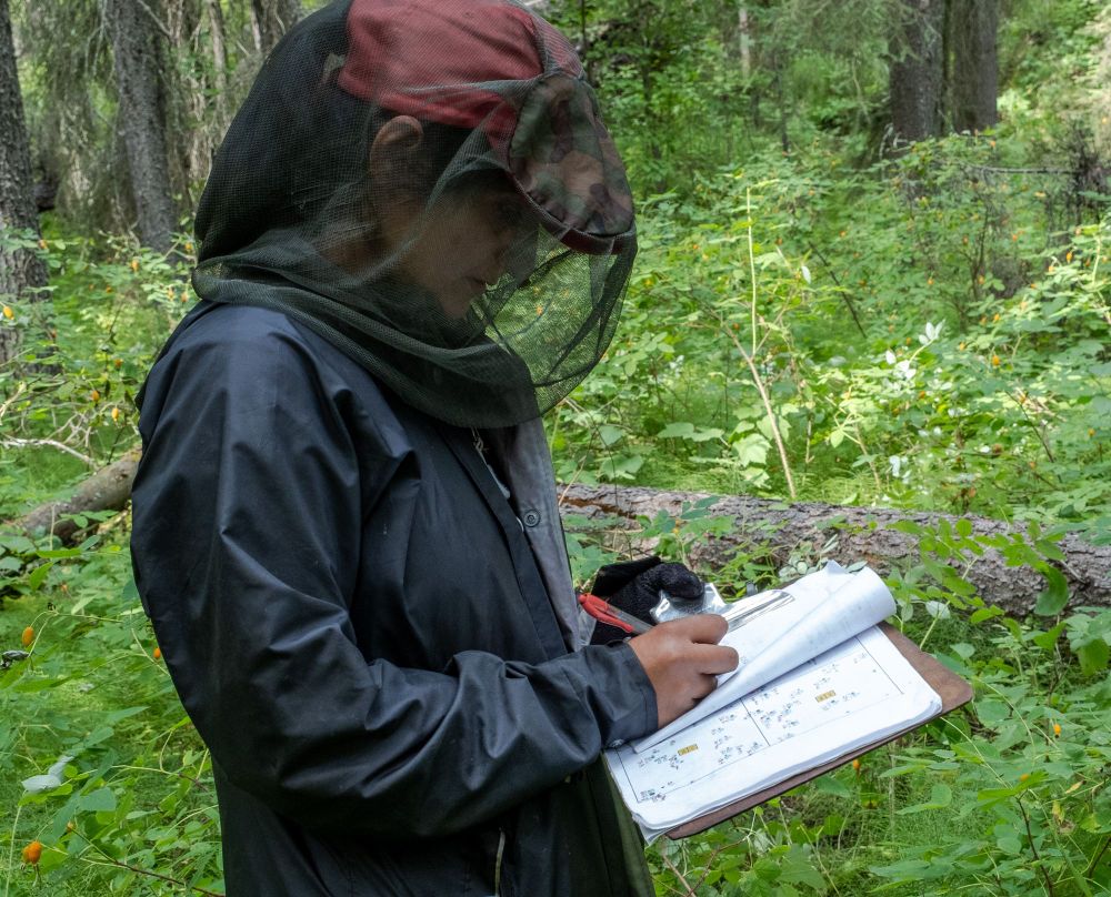 A researcher stands in a forest and writes data on a clipboard.