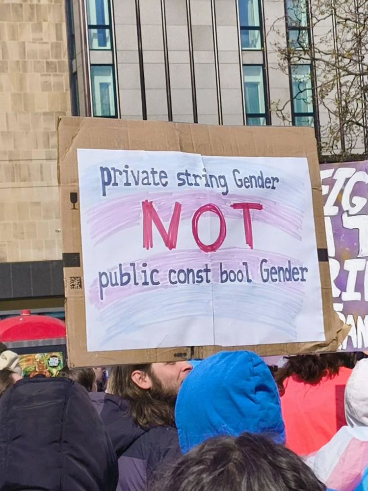 Protest sign reading "private string Gender NOT public const bool Gender". The trans flag appears coloured in the background.