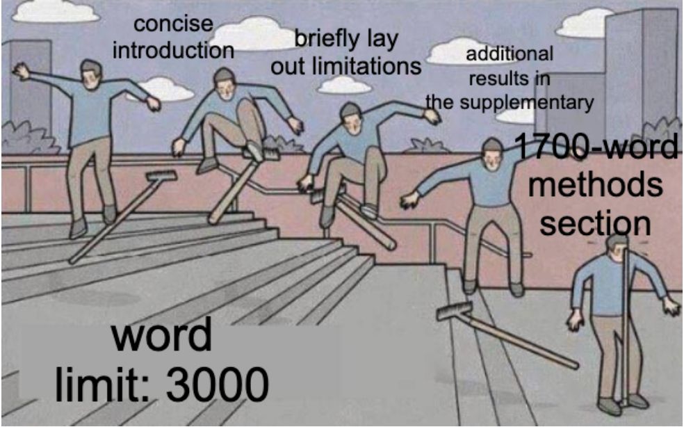 The meme in which a man skates down a stair railing on a rake, but ultimately ends up standing on it so it hits him in the face anyway. In the bottom left corner the words "word limit: 3000" appear. Along the man's path down the railing, the words "concise introduction", "briefly lay out limitations" and "additional results in the supplementary" appear. Finally, as he is hit in the face, the caption reads "1700-word methods section.