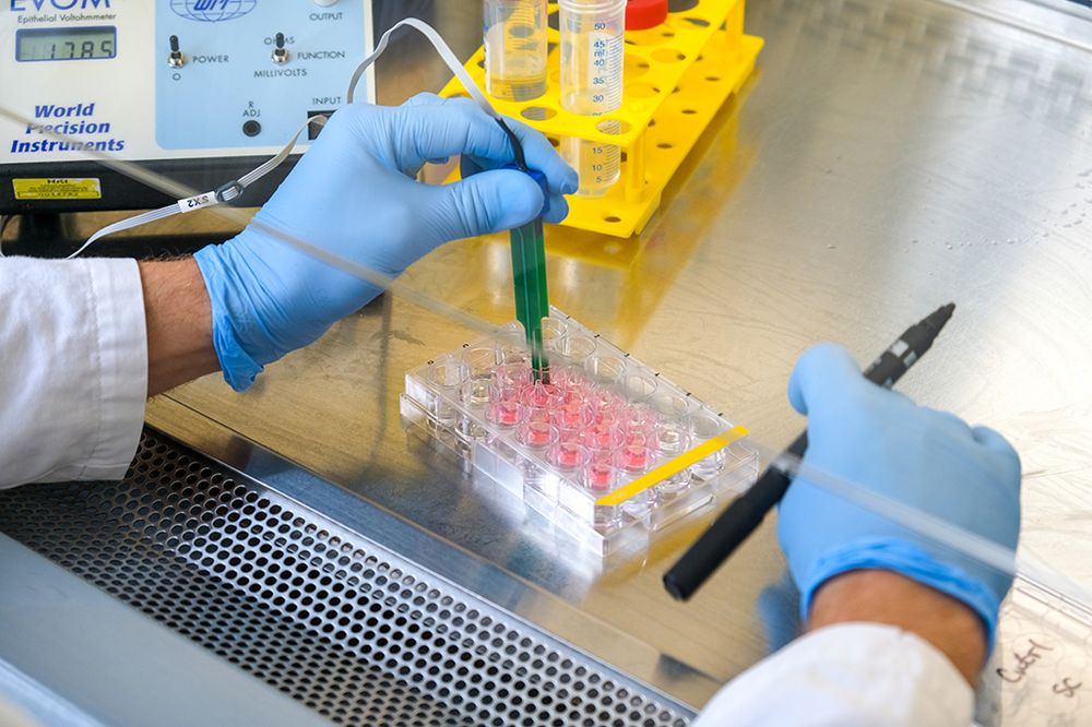 A researcher in blue gloves handles a pipette over a well plate filled with pink liquid while recording notes with a black marker in a laboratory setting.