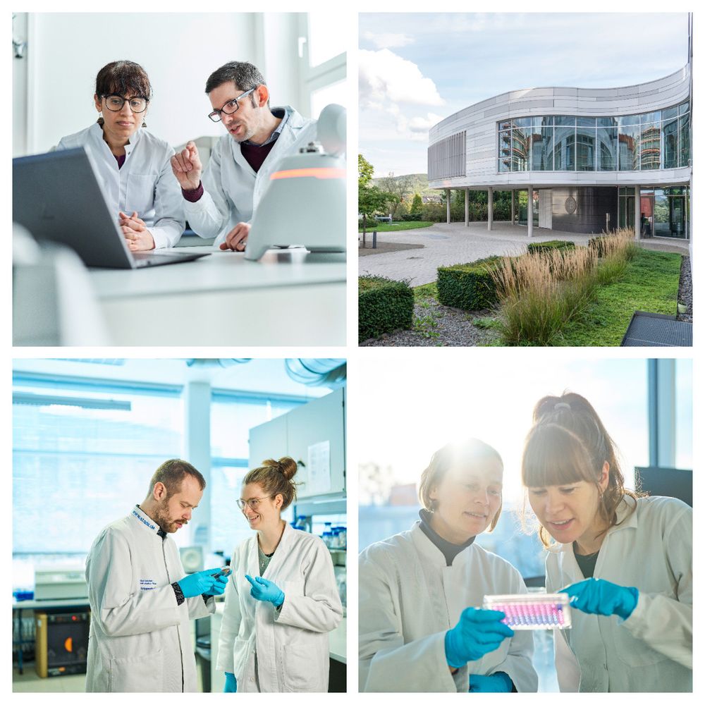Photo collage with researchers from the Leibniz-HKI and a photo of the institute's grounds