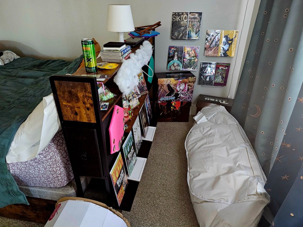 A zoomed out picture of the same spot Wowzerz is in for the quoted picture. It shows the comic shelves are attached to the back of her bed.