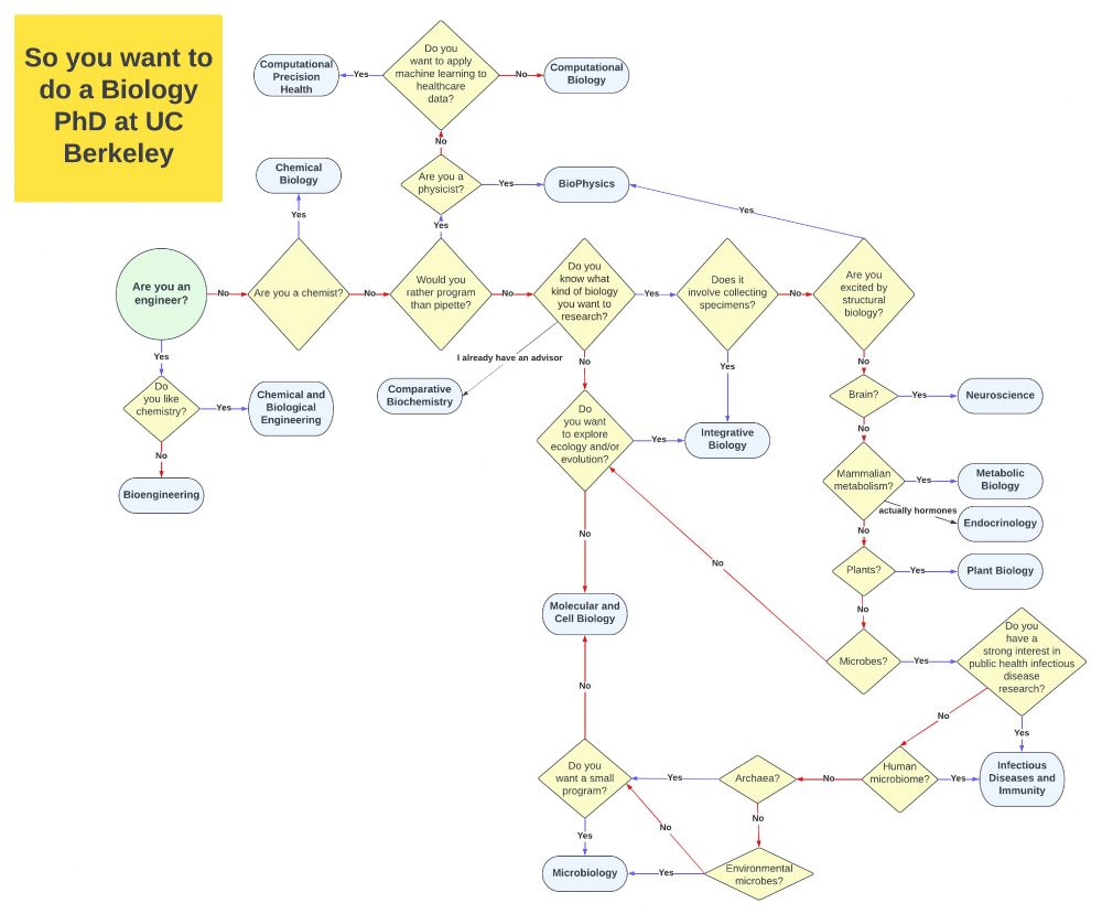 Flowchart of different PhD programs at UC Berkeley
