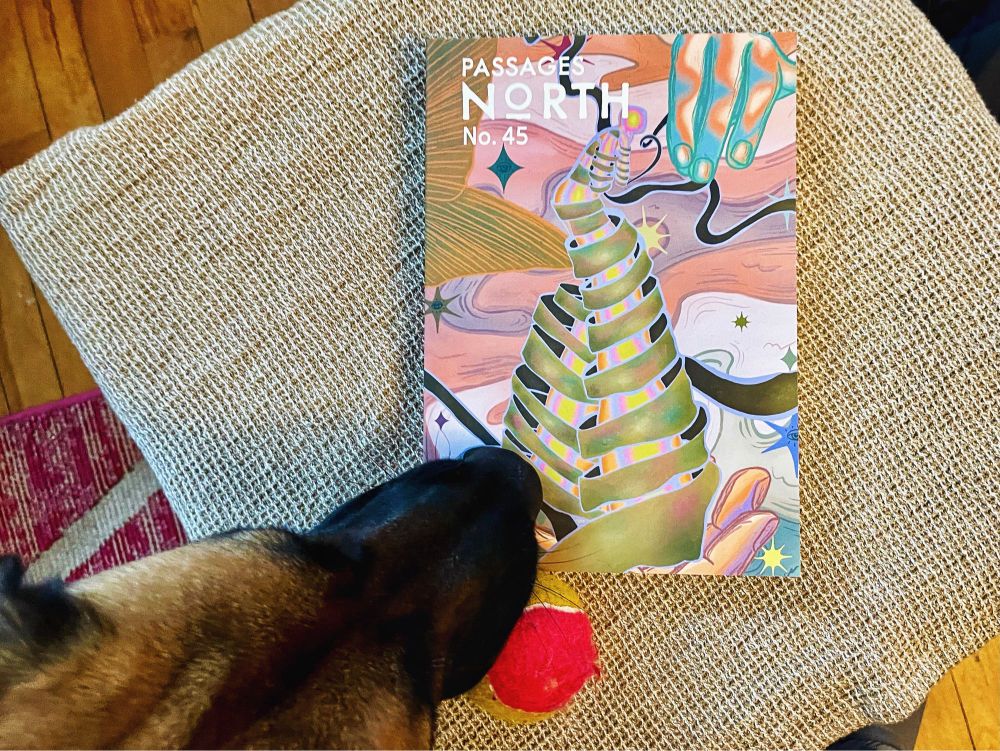 Issue 45 of Passages North magazine plus dog noise and tennis ball.