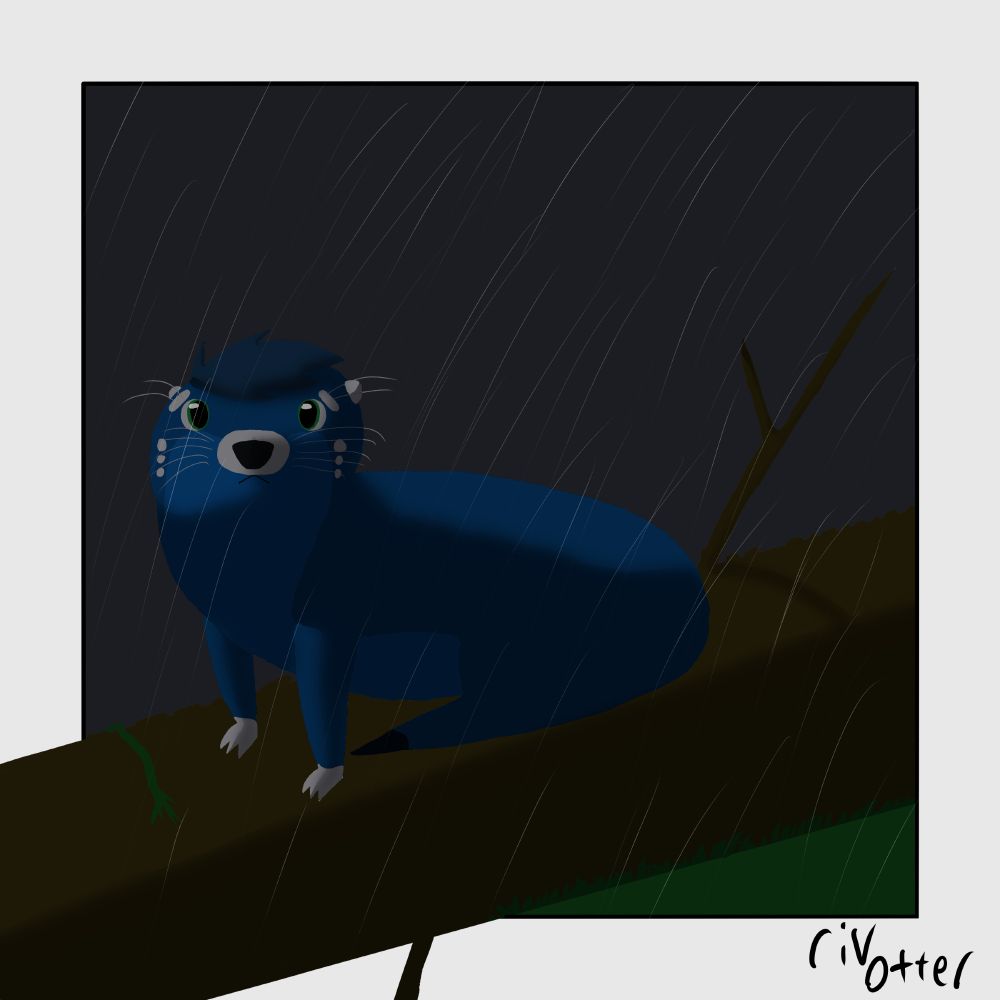 Riv the otter being outside sat on a log while it is raining