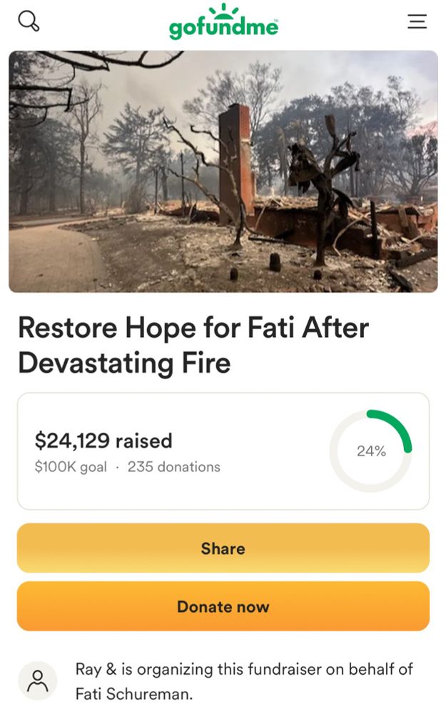 GoFundMe screenshot: Restore Hope for Fati After Devastating Fires