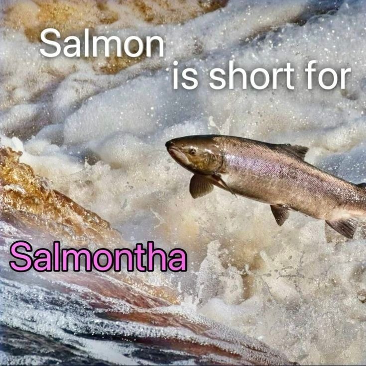 fish (salmon, formally known as Salmontha) in river