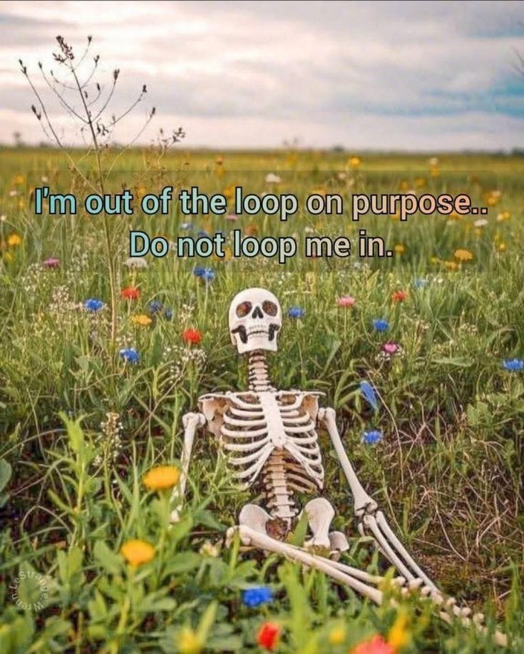 A skeleton (hopefully fake) sitting in a large open field with colorful flowers

"Im out of the loop on purpose.. do not loop me in."