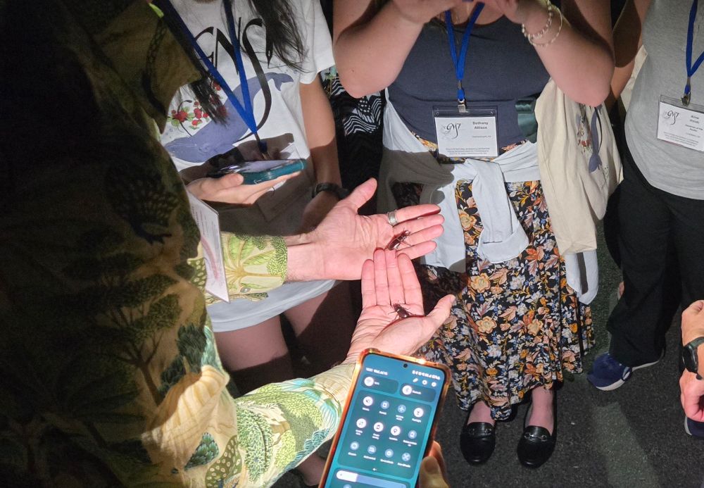 Outside, night: a group of people cluster around a man with a stag beetle on each hand, male and female. They're illuminated with phone lights, and people are taking pictures of them.