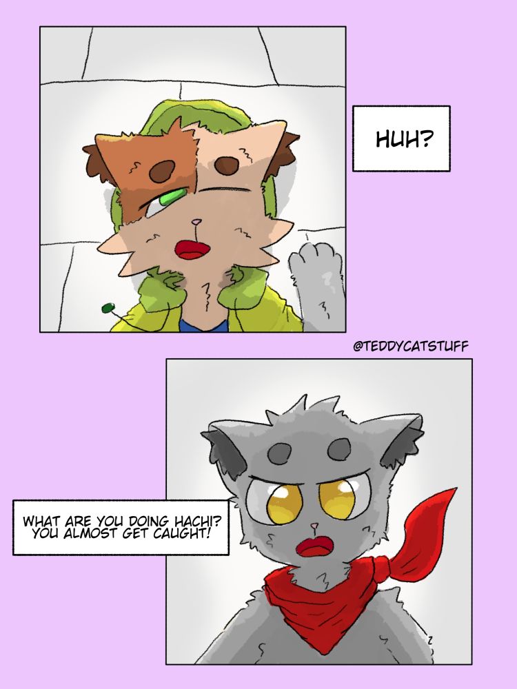 hachi slowly open his eye
huh? confuse hachi
what are you doing hachi? you almost get caught! 
sora was worried while sometime was amiss.