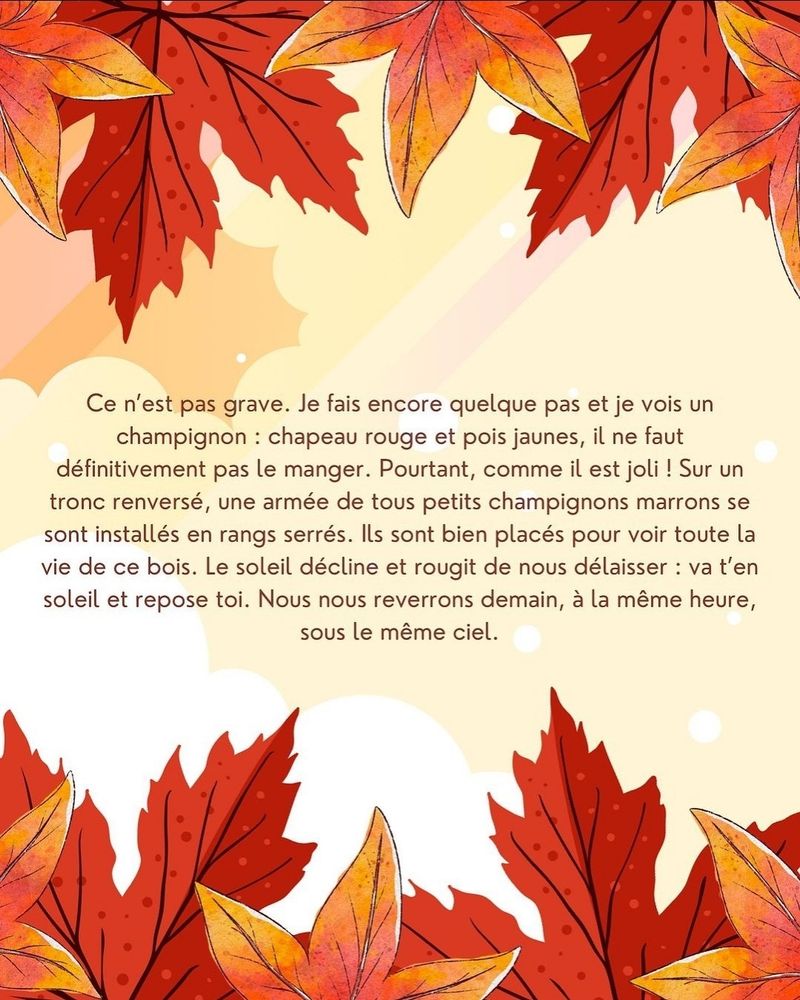 Ce n'est pas grave. Je fais encore quelques pas et je vois un champignon : chapeau rouge et pois jaunes, il ne faut définitivement pas le manger. Pourtant, comme il est joli ! Sur un tronc renversé, une armée de tous petits champignons marrons se sont installés en rangs serrés. Ils sont bien placés pour voir toute la vie de ce bois. Le soleil décline et rougit de nous délaisser : va t'en soleil et repose toi. Nous nous reverrons demain, à la même heure, sous le même ciel.