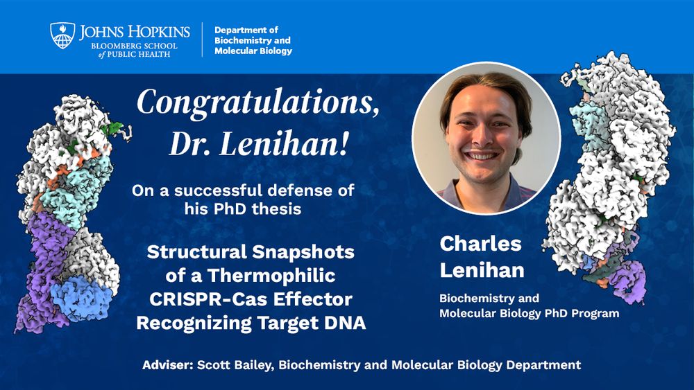 Two protein structure models of a CRISPR effector, flank text and a photo of a smiling Charlie Lenihan, Biochemistry and Molecular PhD Program. Congratulations, Dr. Lenihan! On a successful defense of his PhD thesis, Structural Snapshots of a Thermophilic CRISPR-Cas Effector Recognizing Target DNA. Advisor: Scott Bailey, Biochemistry and Molecular Biology Department. Johns Hopkins Bloomberg School of Public Health, Department of Biochemistry and Molecular Biology.
