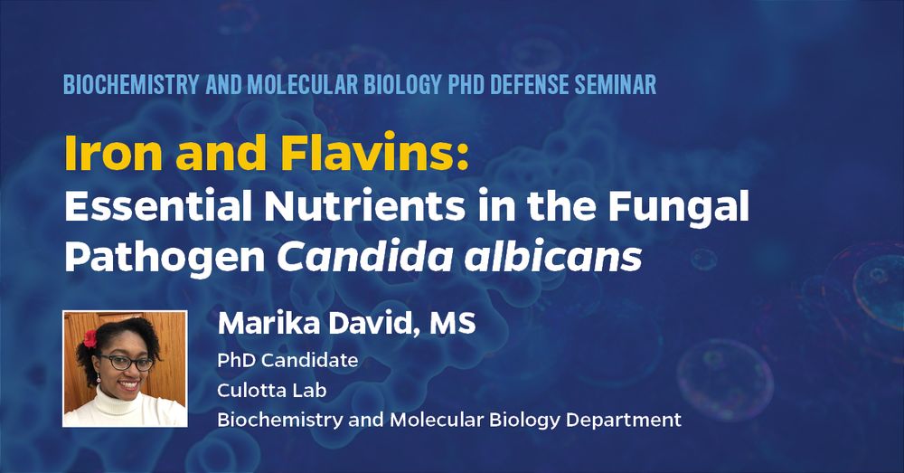 PhD Defense graphic with a photo of the presenter. Biochemistry and Molecular Biology PhD Defense Seminar. Iron and Flavins: Essential Nutrients in the Fungal Pathogen Candida albicans. Marika David, MS. PhD Candidate, Culotta Lab, Biochemistry and Molecular Biology Department.