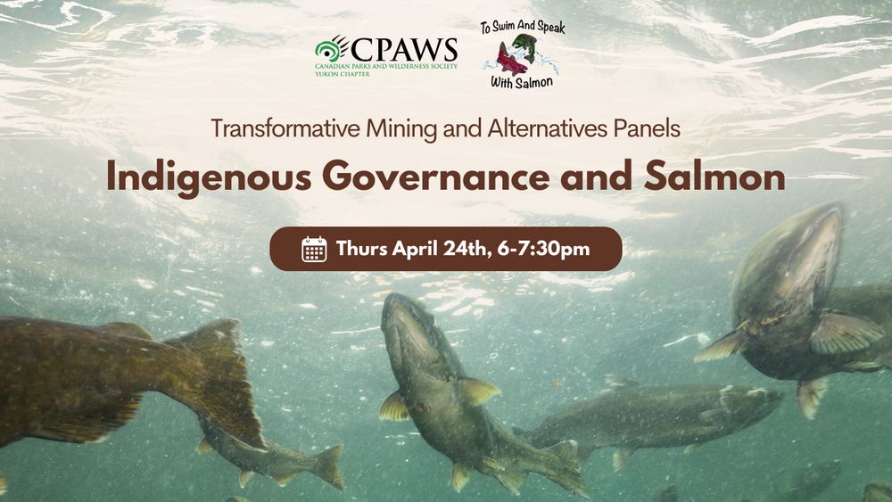 Event banner with salmon swimming underwater, CPAWS Yukon and To Swim and Speak With Salmon logos, and the text "Transformative Mining and Alternatives Panels: Indigenous Governance and Salmon. Thurs April 24th, 6-7:30pm"