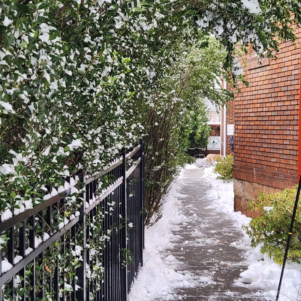 Walkway in the snow between brick buildings and an iron fence. 