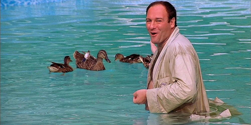Tony Soprano dentro de uma piscina com patos no fundo