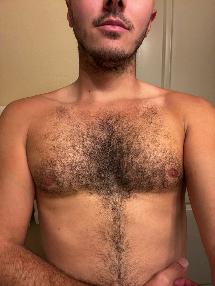 Louie’s tan torso with a tank top tan line and thick, curly black chest hair. 