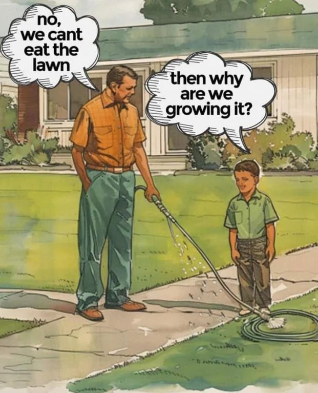 Picture it. A father. He stands in front of his house talking to his son. The father tells the son "No, we can't eat the lawn" to which the wise son inquires "then why are we growing it?"