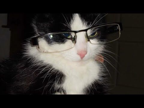 “Como você cresceu tanto?”✰| 𝐬𝐮𝐛𝐥𝐢𝐦𝐢𝐧𝐚𝐥