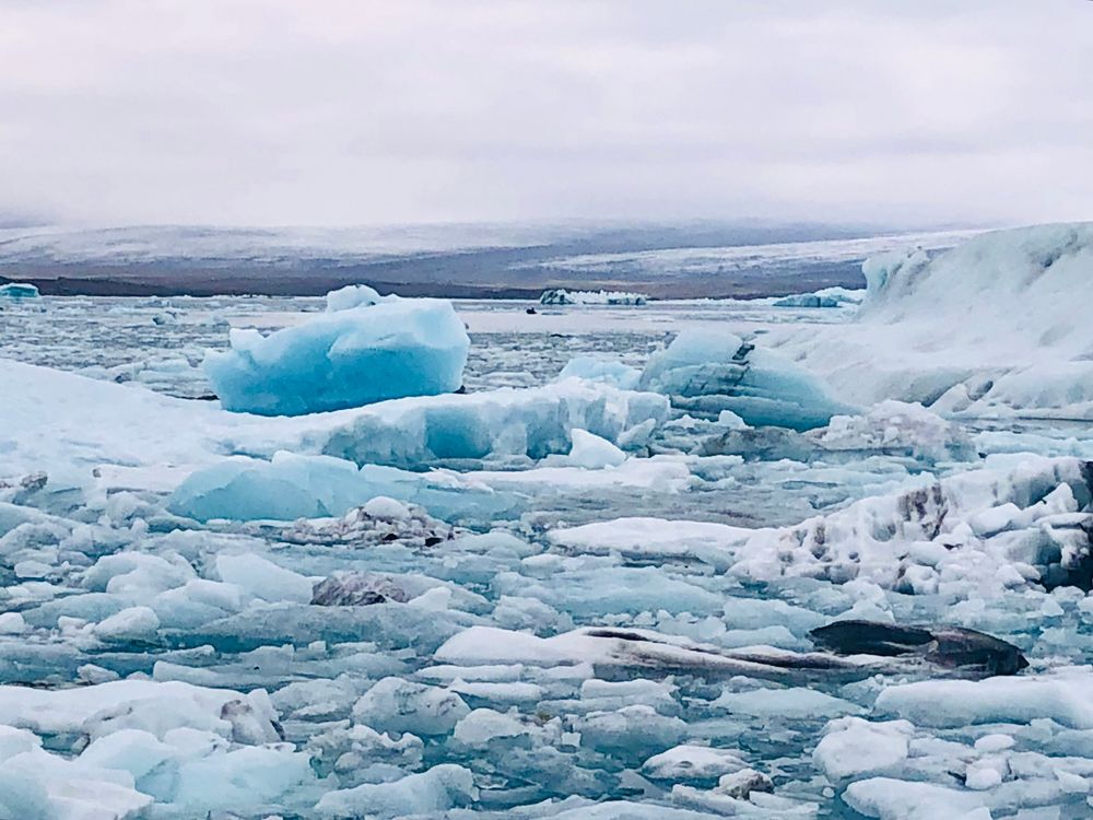 Ein Gletschersee mit kleineren Eisbergen und -schollen unter grauem Himmel.
