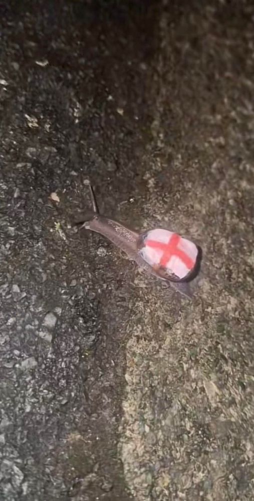 The photograph shows a small snail on a dark, rough-textured surface, possibly tarmac or concrete. The snail's shell has been painted with the flag of England, which is a red cross on a white background. The snail is facing towards the upper left of the frame, and its body is extended as if it's in the process of moving. The lighting is dim, suggesting it may be nighttime or an indoor environment with low light.
