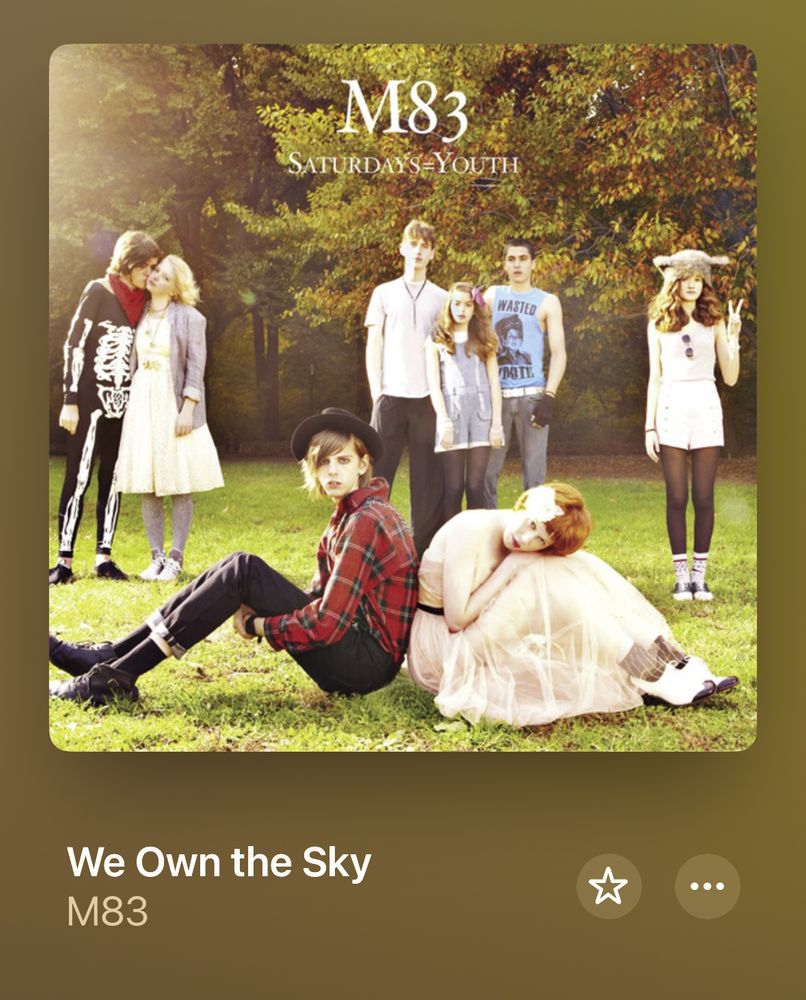 Screenshot of the album art on Apple Music for a song called We Own the Sky by M83.