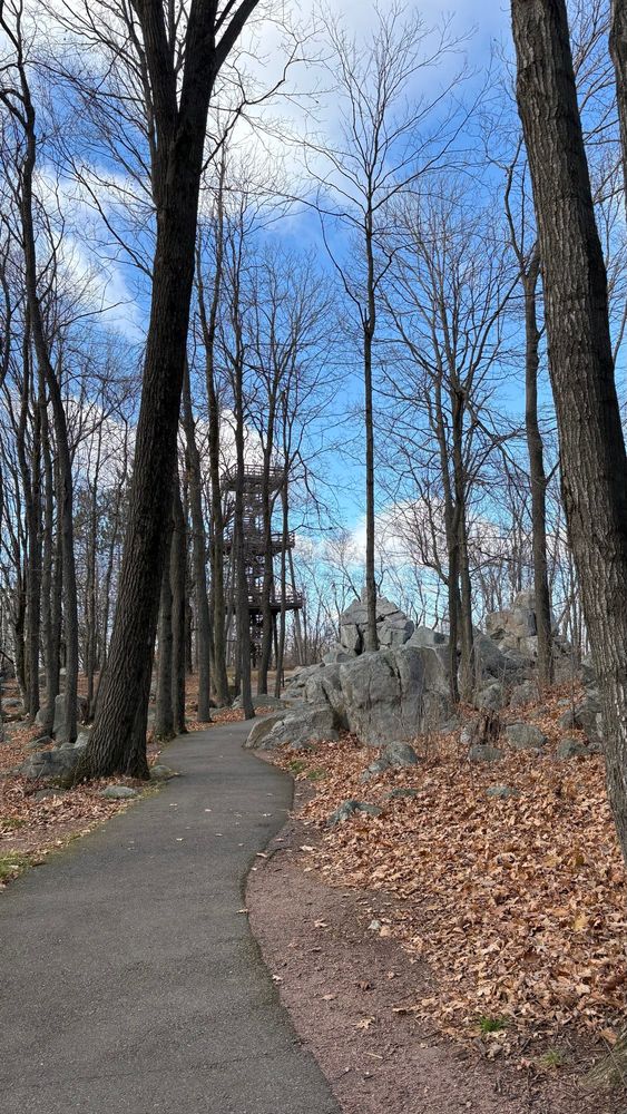 Picture showing a paved trail to an observation tower and some large quartzite rocks with tree trees, and blue sky. This is at Rib Mountain State Park in Wisconsin.